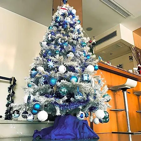 San Carlo Hotel Mestre