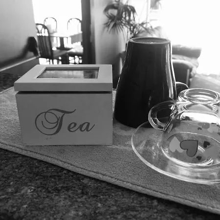 圣卡罗酒店 酒店 梅斯特雷