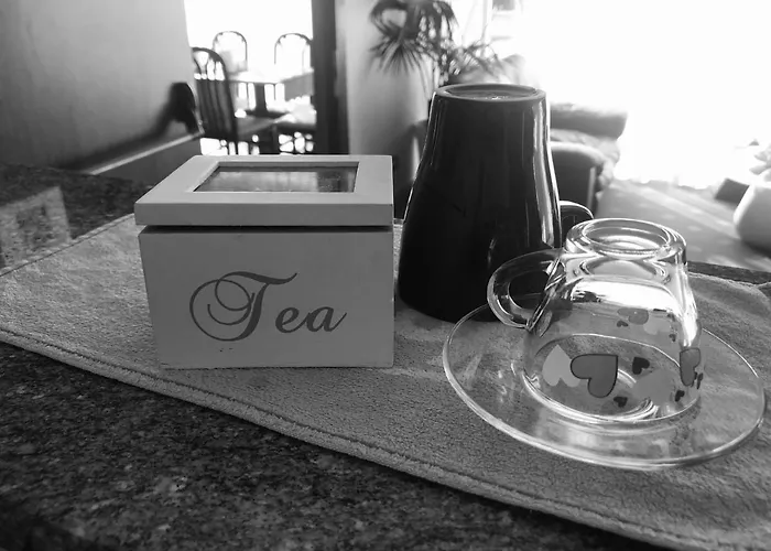 サン カルロ ホテル メストレ